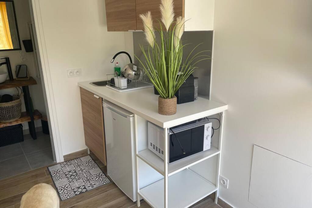 Studio Collobrieres Vue Sur Village Экстерьер фото